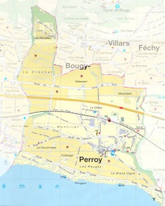 plan_perroy