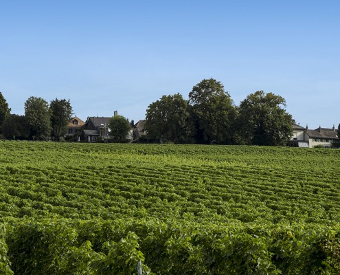 background-interieurVueVillageVigne