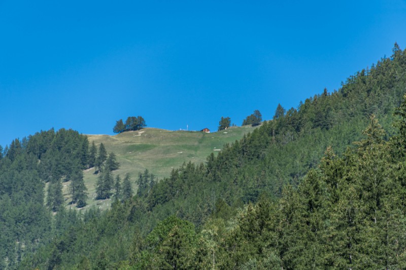 CesareMarchitto-8858