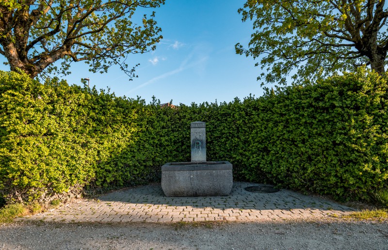 ambiance-perroy-fontaine