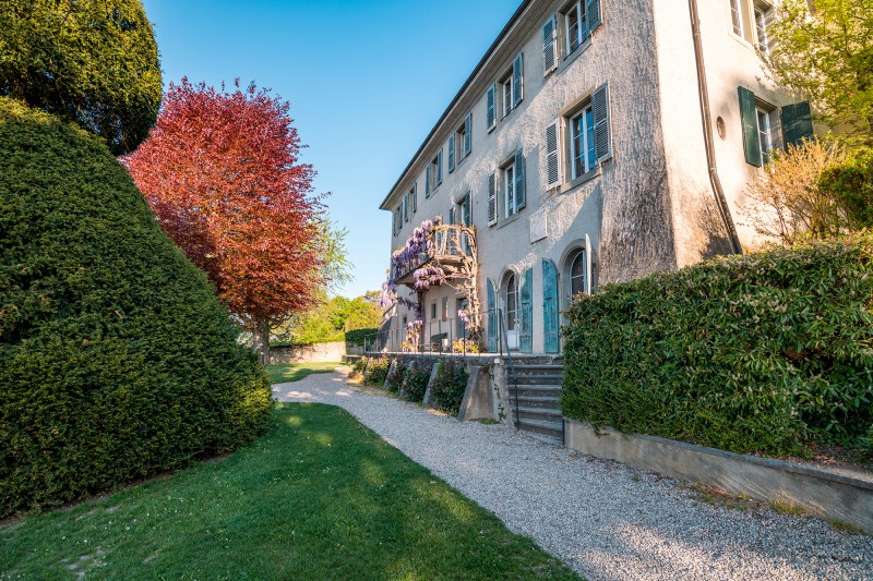 ambiance-perroy-jardin-glycine