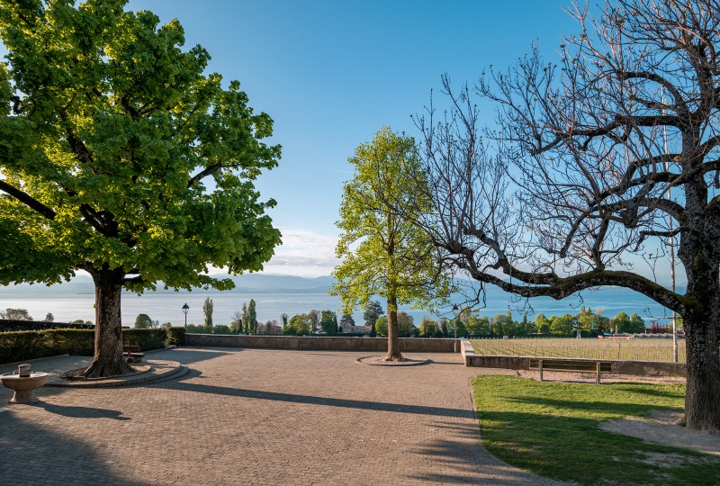 ambiance-perroy-parc-lac