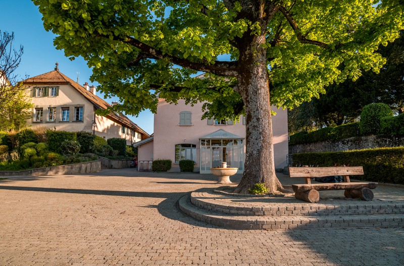 ambiance-perroy-salle-banc